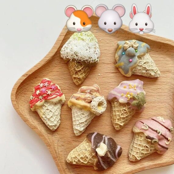 Hamster Ice Cream Treats: Healthy Homemade Ra...