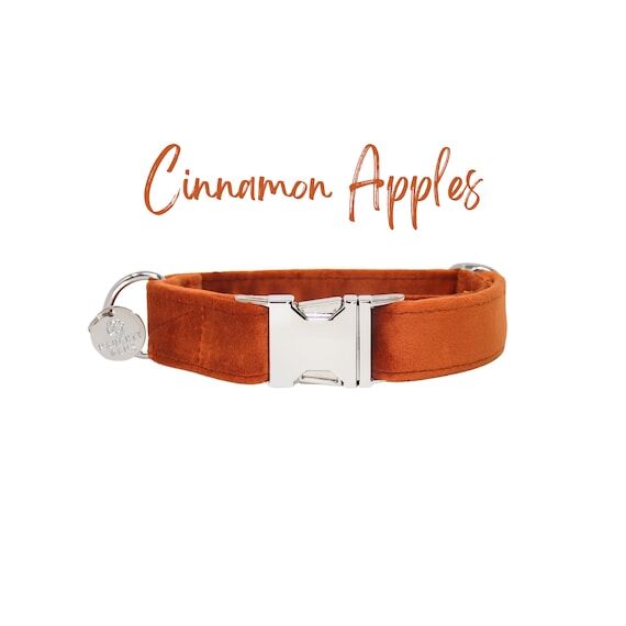 Velvet Dog Collar, Burnt Orange Neutral Dog C...