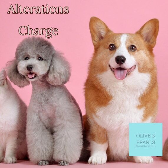 Dog Collar Alteration Service: Adjustment, Re...