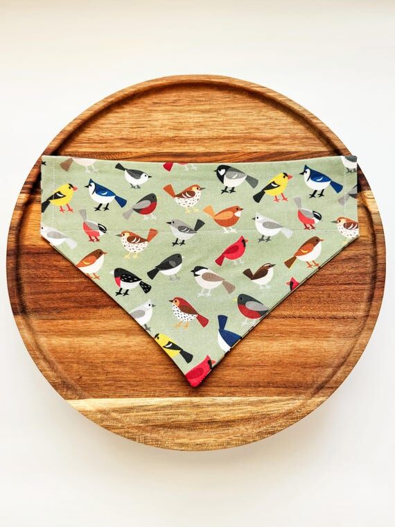 Dog Bandana, Over the Collar Dog Bandana, Bir...