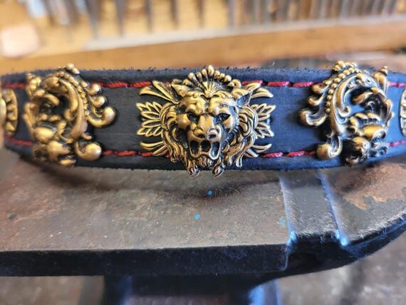 Dog Collar, Leather Dog Collar, Brass Lion, D...