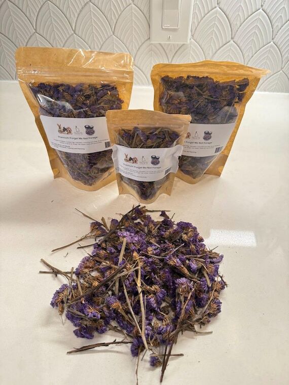 Forget Me Not Flower Petals – Natural Forag...