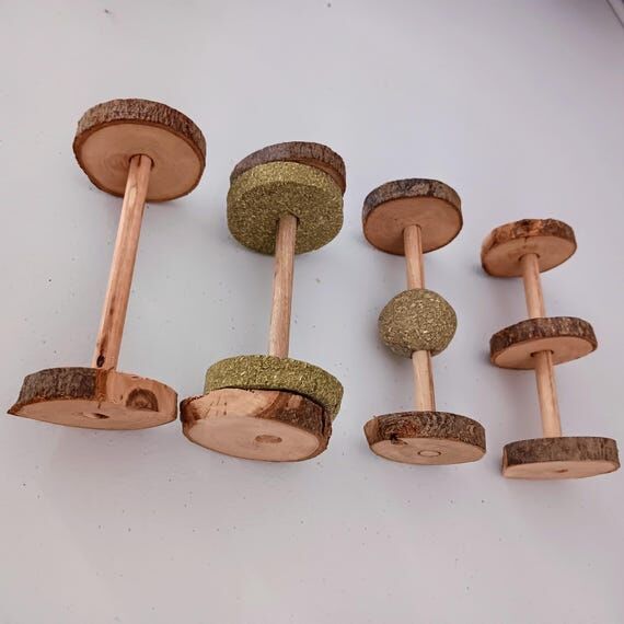 Timothy Hay Apple Wood Chew Toy for Small Pet...