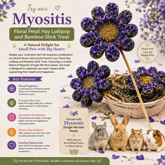 Myosotis Floral Hay Lollipop Treat, Rabbit, G...