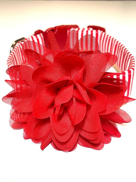 North Pole Christmas Dog Collar: Detachable F...