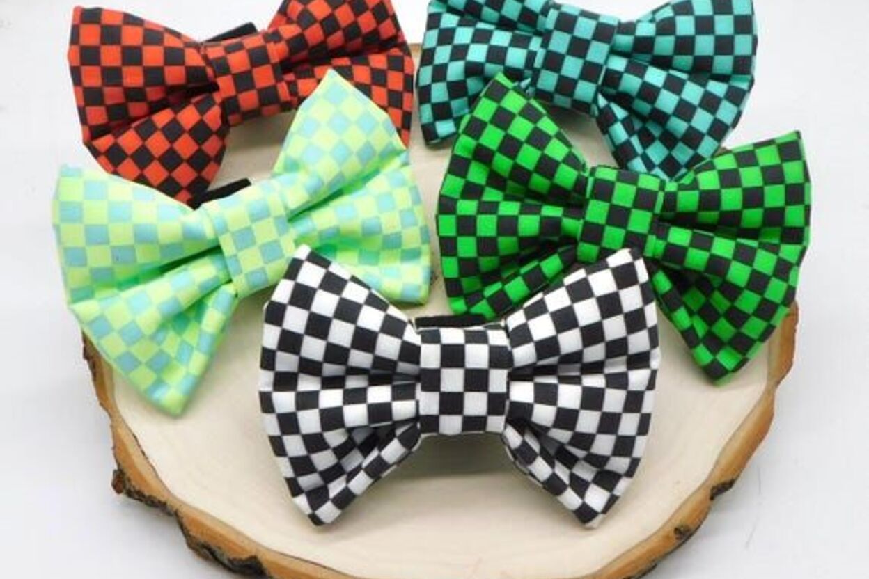 Puptown Girl Dogwear