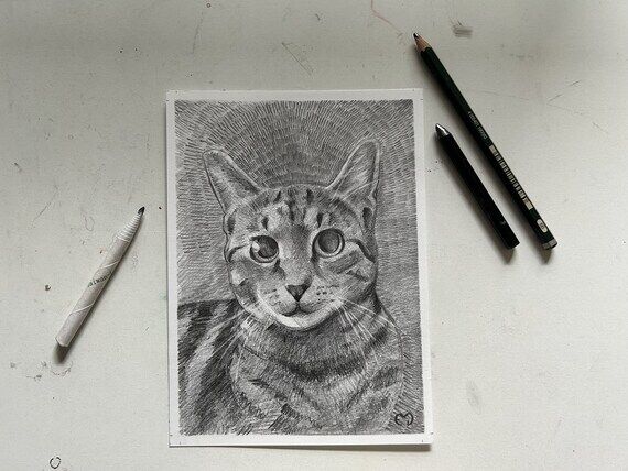 Custom Graphite Pet Portrait / Hand-drawn Por...
