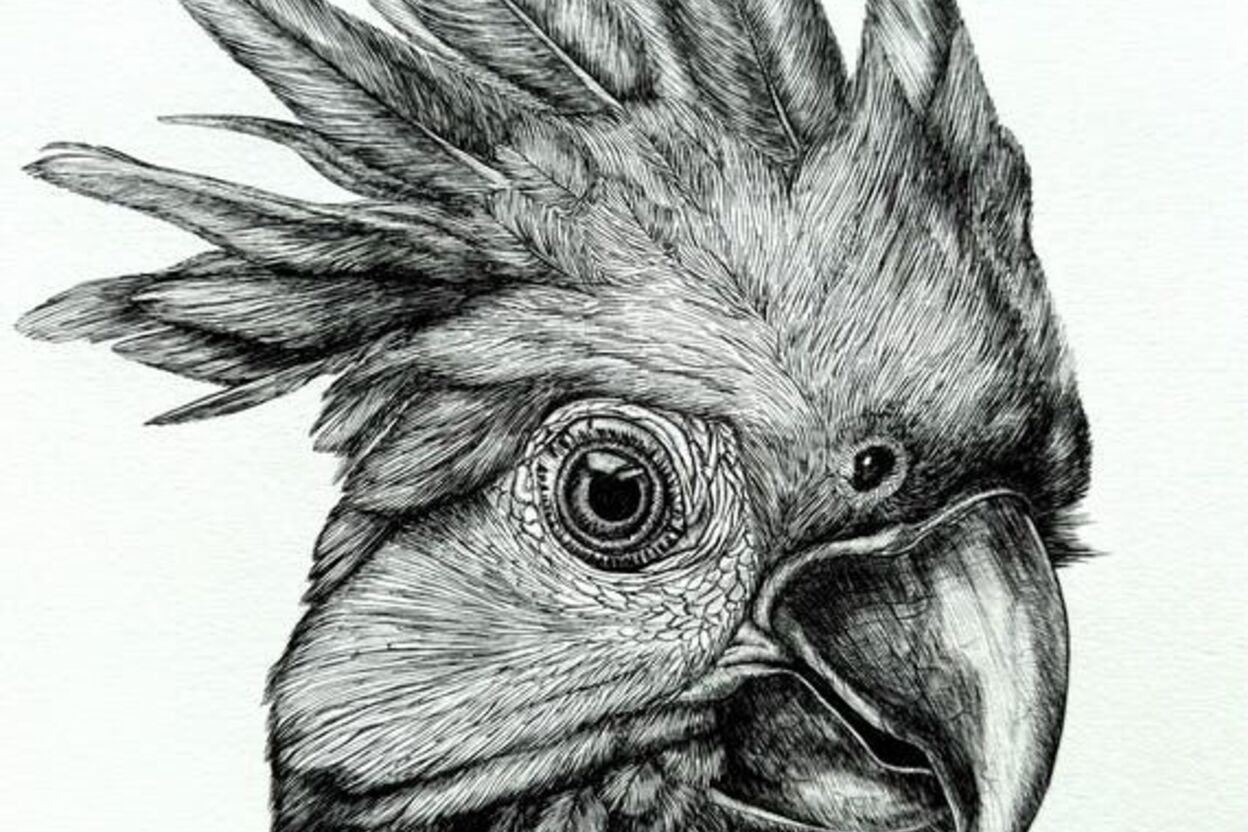 Stacey Pet Art