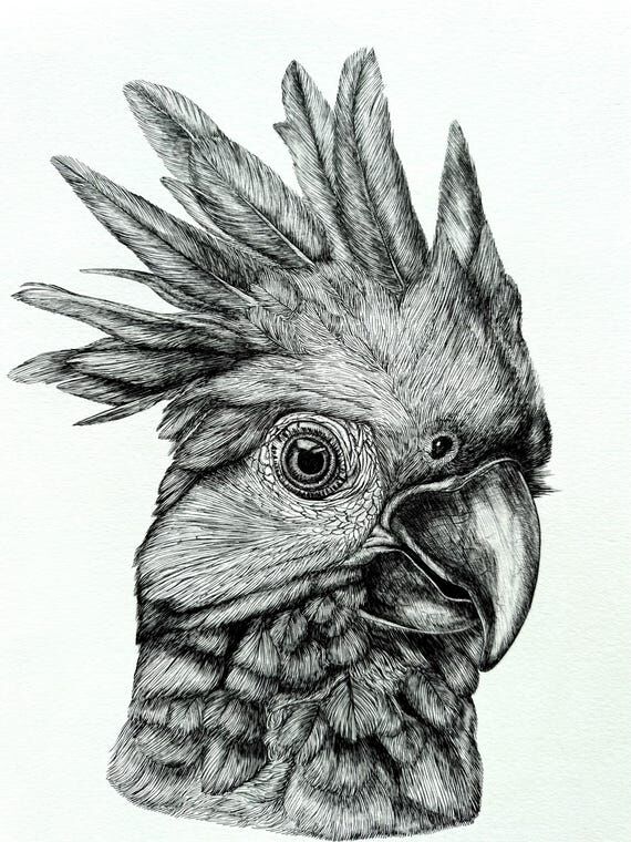 Handmade Animal Drawing from Photo: Black and...