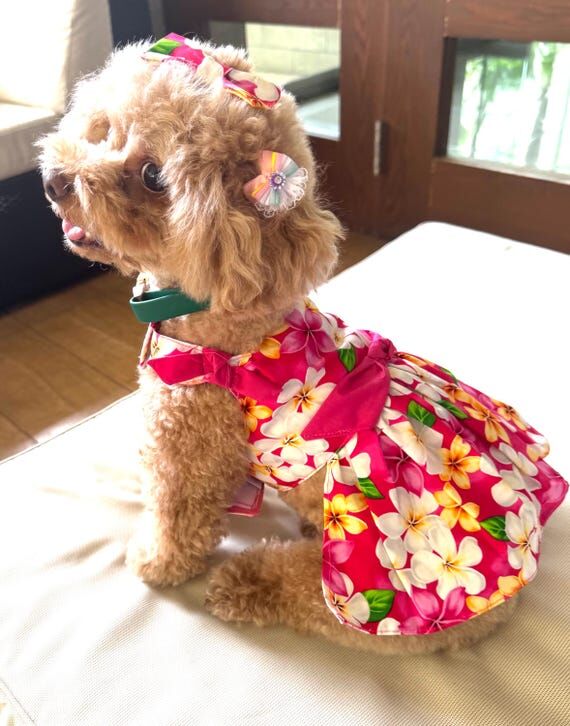 Tropical Floral Dog Dress: Pink Hawaiian Pet ...