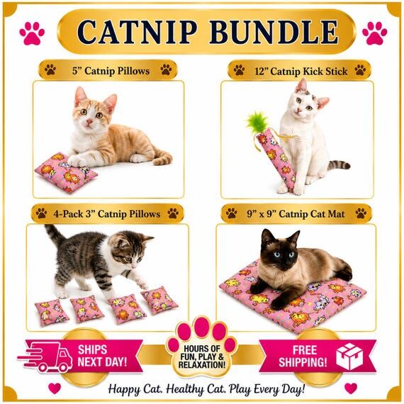 Catnip Toy Box: Cat Lover Gift Set (Kick Stic...