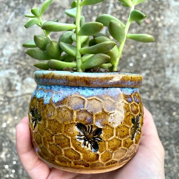 Honeycomb Bee Succulent Planter: Handmade Pot...
