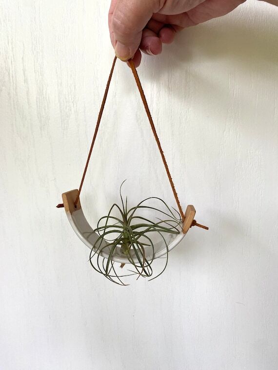 Air Plant Sling, Plant Sling, Minimalist Plan...
