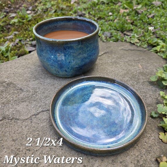 Small Stoneware Succulent Pot with Drainage -...