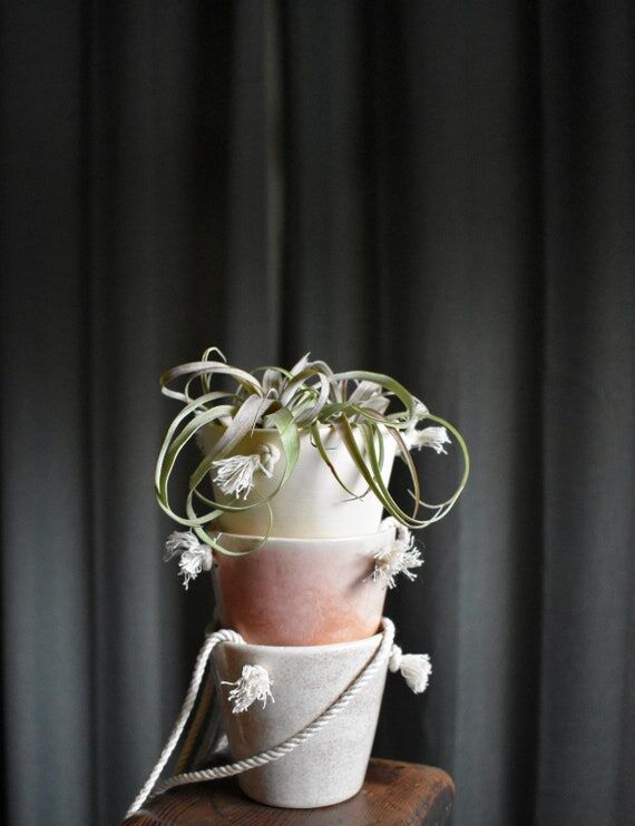 small ceramic hanging planter - simple succul...