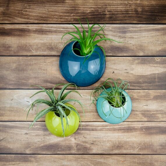 Handmade Ceramic Wall Vase | Air Plant Holder...
