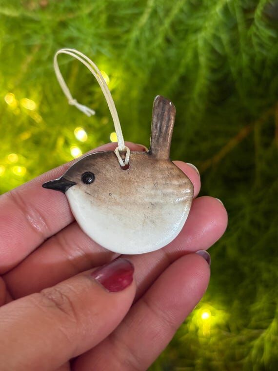 baby wren / Jenny wren by Rebecca Fierek...