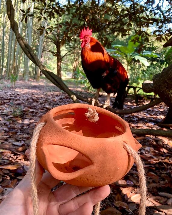 HANGING STRAWBERRY POT #12. Terracotta clay f...