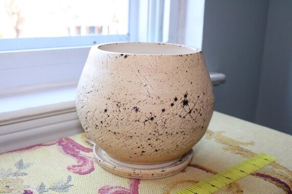 Sandstone Crackled Skin Planter, Handmade Pot...