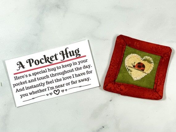 Quilted Pocket Hug, Lady Bug Gift, Small Trin...