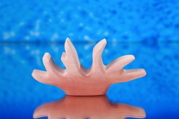 Wooden Coral Reef Toy - Hand-Painted Coral De...