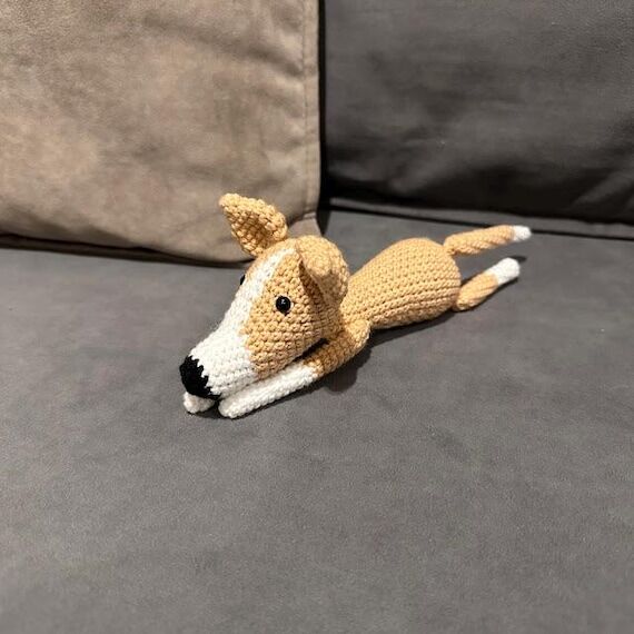 Mini Greyhound / Whippet / Italian Greyhound ...