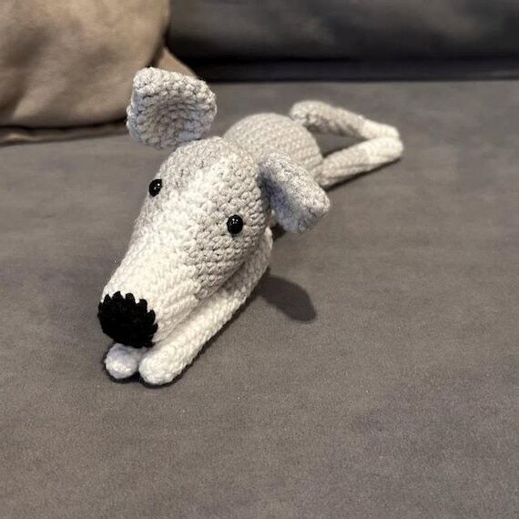 Whippet mini, Greyhound, Italian Greyhound To...