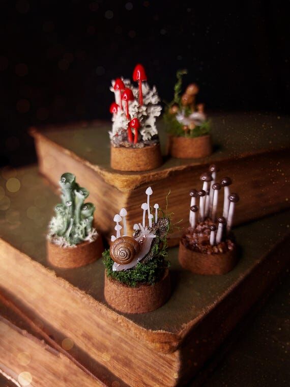 Miniature Forest World Under Glass: OOAK Mush...