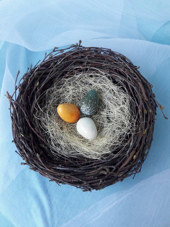Handmade Birch Nest with Polymer Clay Eggs: E...