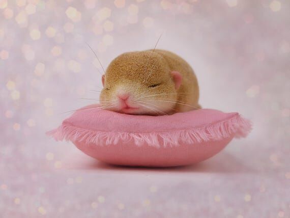 Handmade Sleeping Fat-Tailed Gerbil Figurine:...