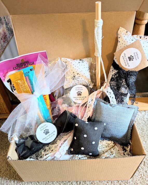Cat Toy Gift Set: Handmade Kitten Starter Box...