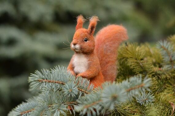 Squirrel needle felted realistic animal MADE ...