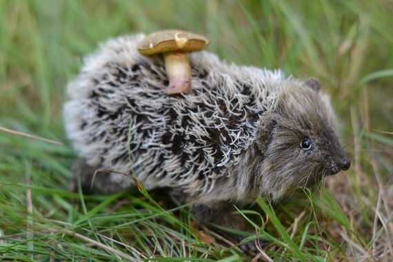 Plush realistic hedgehog, MADE TO ORDER, anim...