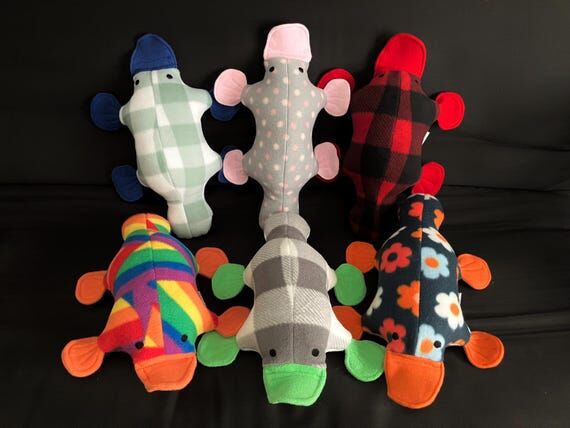 MADE TO ORDER: Original design platypus. Han...