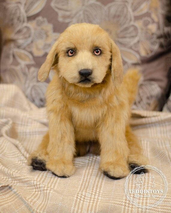 Realistic Labrador Puppy Plush: 55cm Poseable...