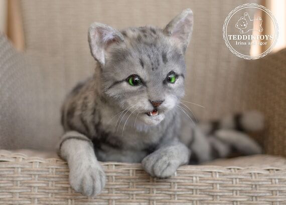 Realistic Life Size Kitten: OOAK Handmade Col...