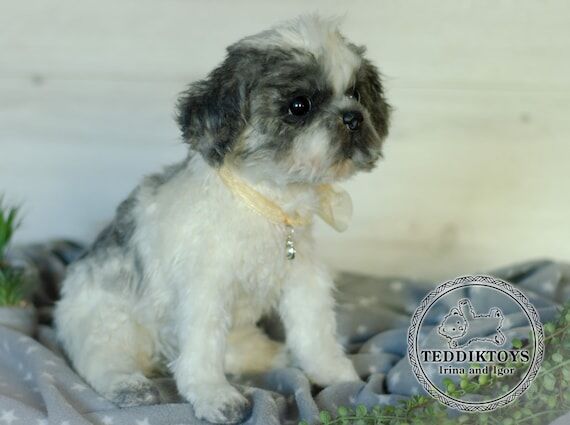 Handmade Shih Tzu Puppy Plush Toy, Realistic ...