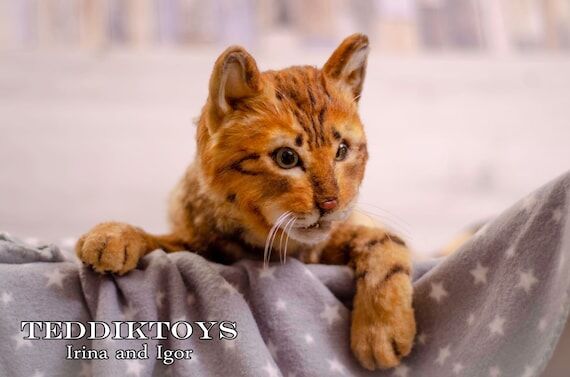 Realistic Life Size Kitten Merlin: Handmade C...