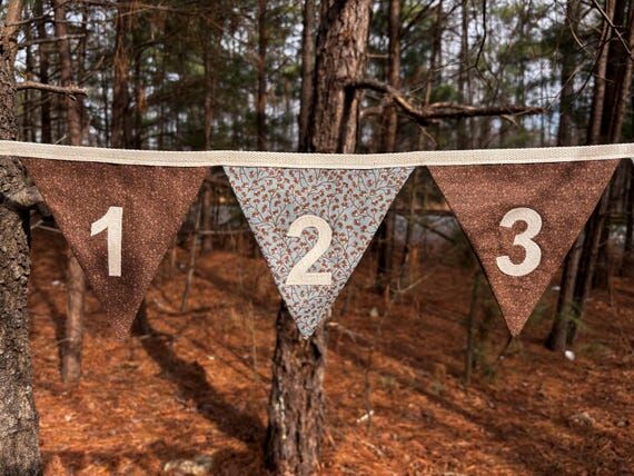 Custom Sewn Numbers Banner: Cotton Pennant, S...
