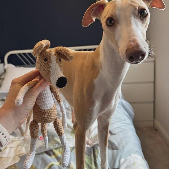 Personalized Greyhound Plush, Custom Whippet ...
