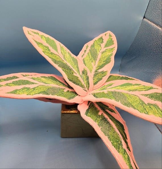 Embroidered Felt Stromanthe Triostar Plant ...