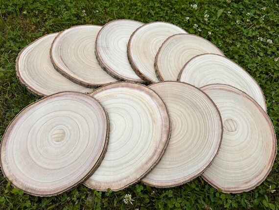 Set of 10 Natural Wood Slices, 9-10" Dia...