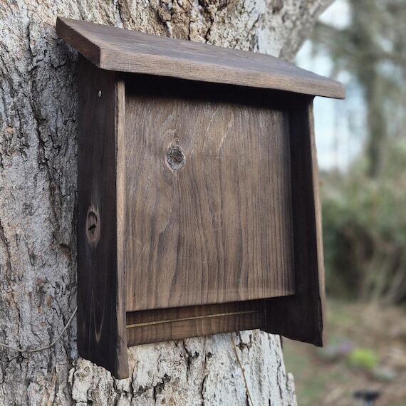 Shou Sugi Ban Cedar Bat House – Grooved Int...