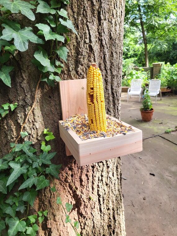 The Sturdiest Squirrel Feeder - Corn Cob Feed...