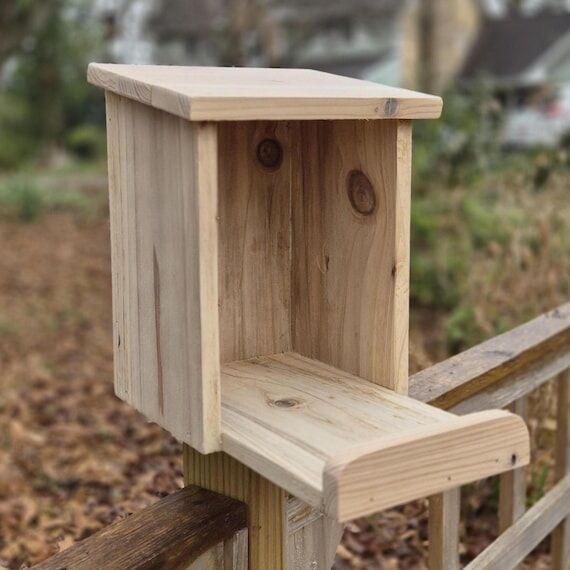 Handmade Cedar Mourning Dove House – Open-F...