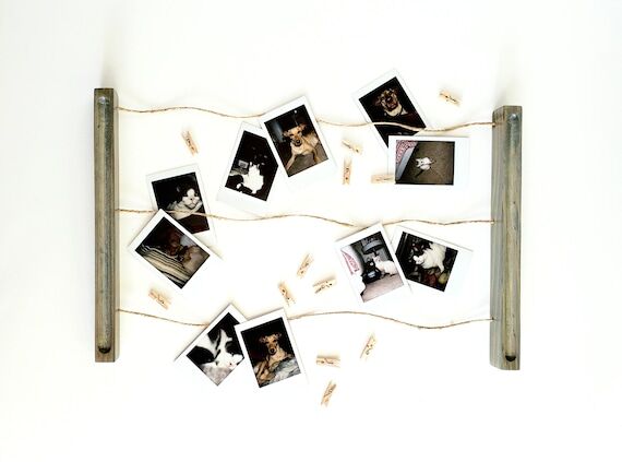 Wall Mounted Polaroid Photo Display: Groovy S...