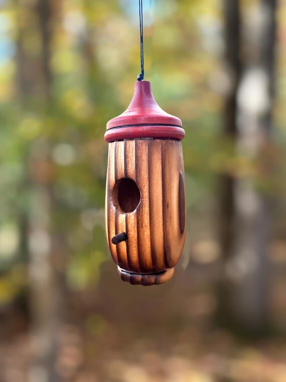 Shou Sugi Ban style Handmade Hummingbird Bird...