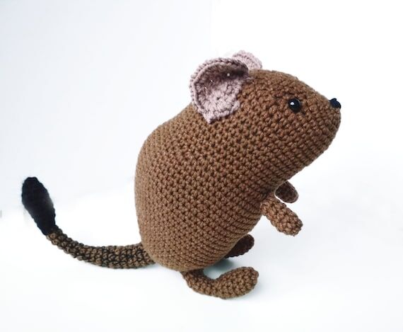 Crochet Degu Plush: Pet Memorial Gift for Rod...