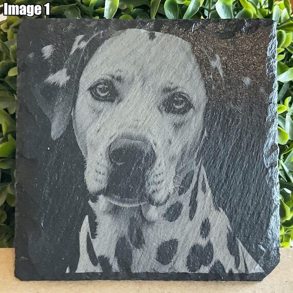 Engraved Dalmatian Slate Coaster: Rustic Dog ...