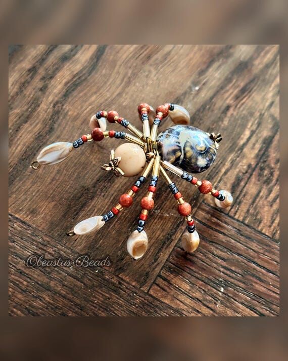 Decorative Spider - Ammonite and Shell Highli...